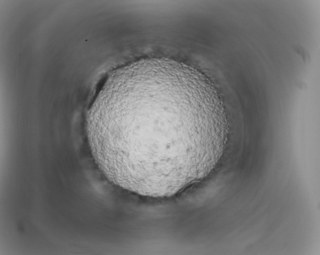 X0000113920144200910090944