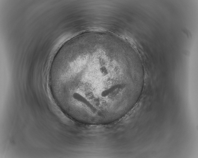 X0000113920145200910090943