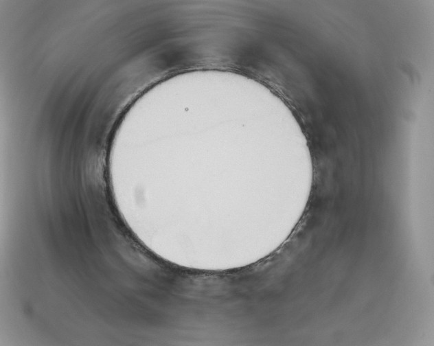 X0000113920146200910090943