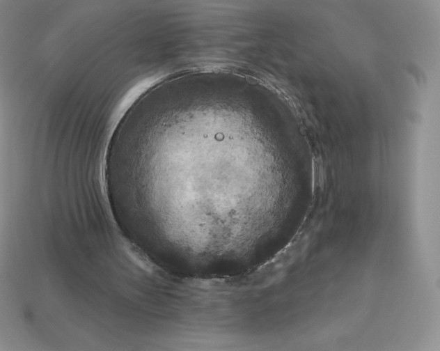 X0000113920147200910090943