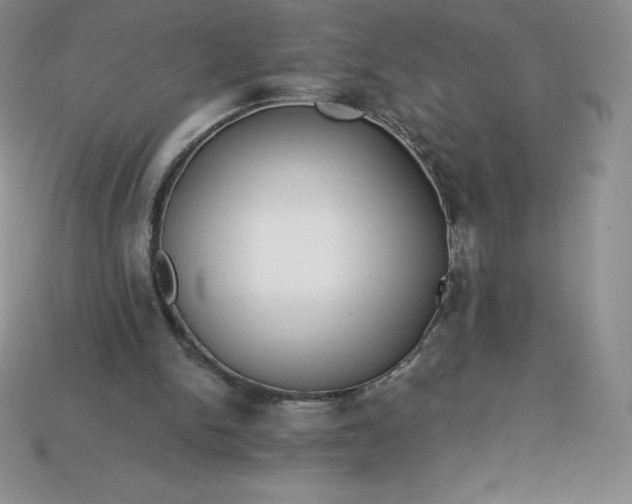 X0000113920150200910090943
