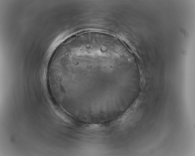 X0000113920151200910090943