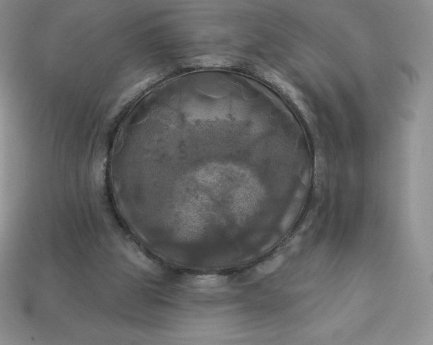 X0000113920153200910090943