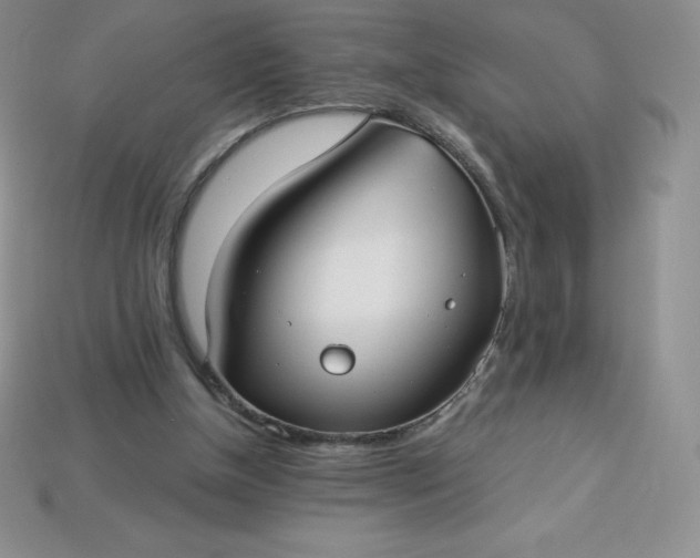 X0000113920154200910090943