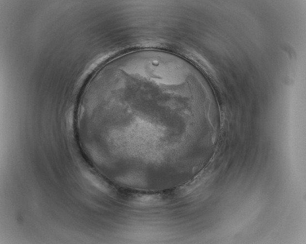X0000113920155200910090943