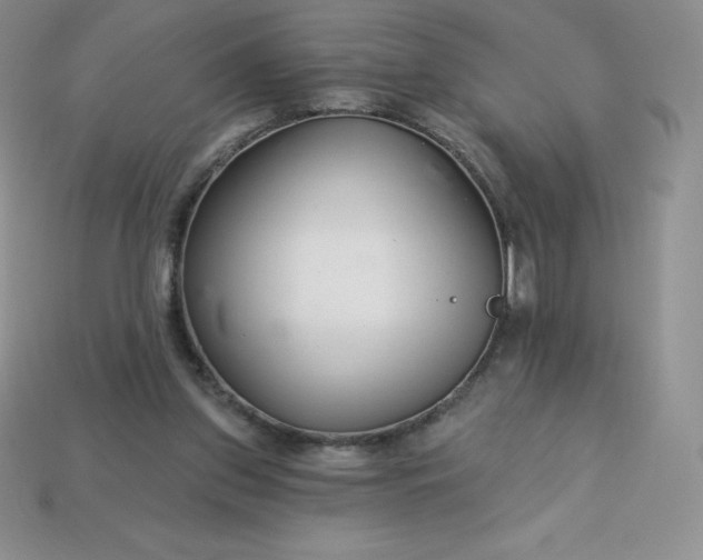 X0000113920157200910090943