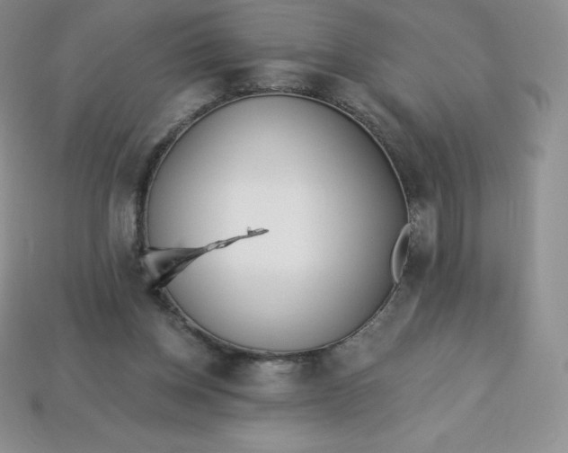 X0000113920158200910090943