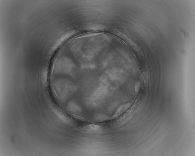X0000113920159200910090943