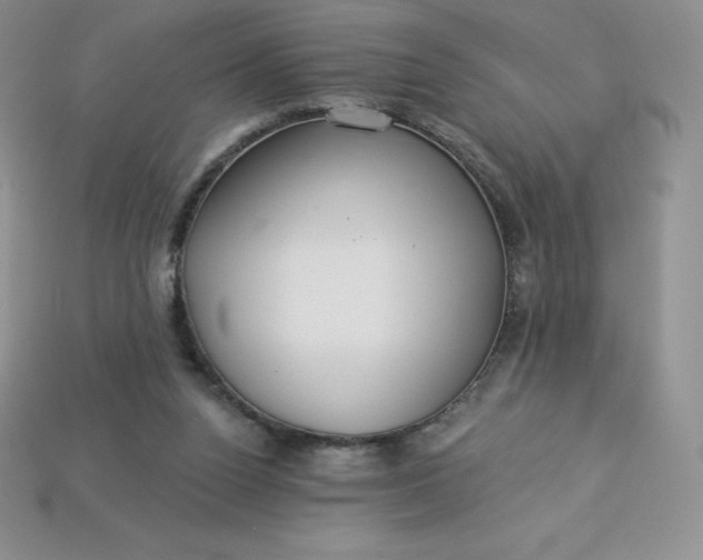X0000113920160200910090943