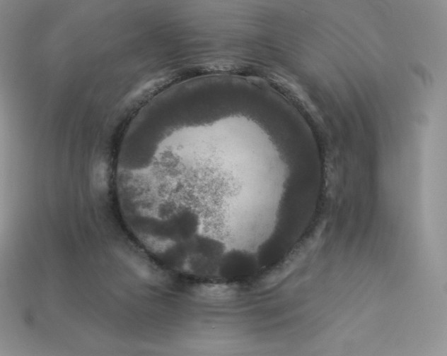 X0000113920161200910090943
