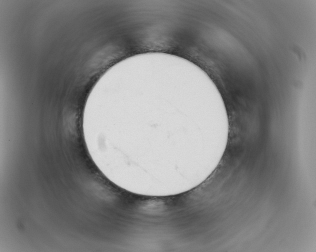 X0000113920162200910090944