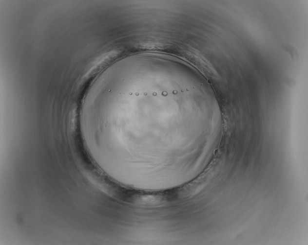 X0000113920163200910090944