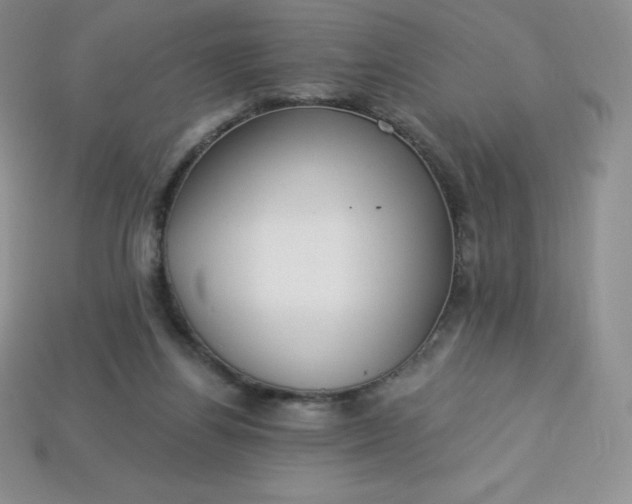X0000113920164200910090944