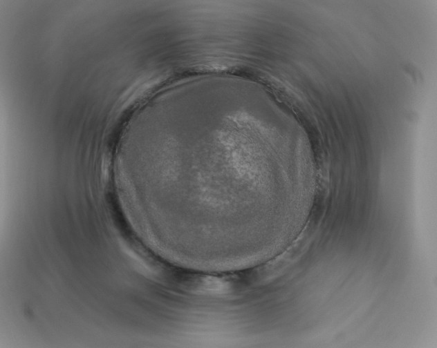 X0000113920166200910090944