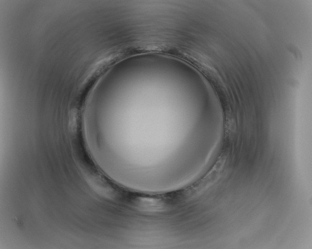 X0000113920167200910090944
