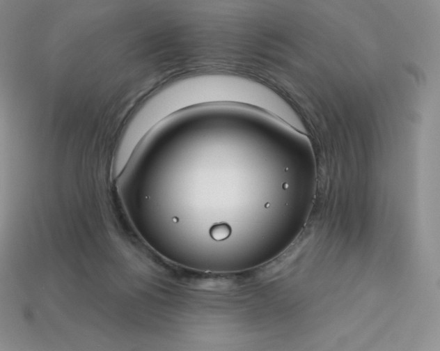 X0000113920168200910090944