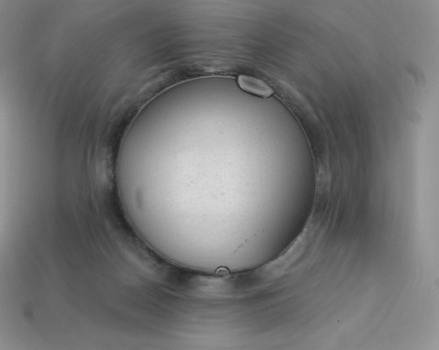 X0000113920170200910090944