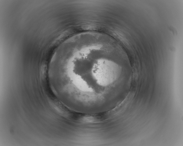 X0000113920171200910090944