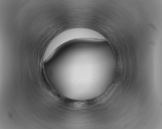 X0000113920172200910090944