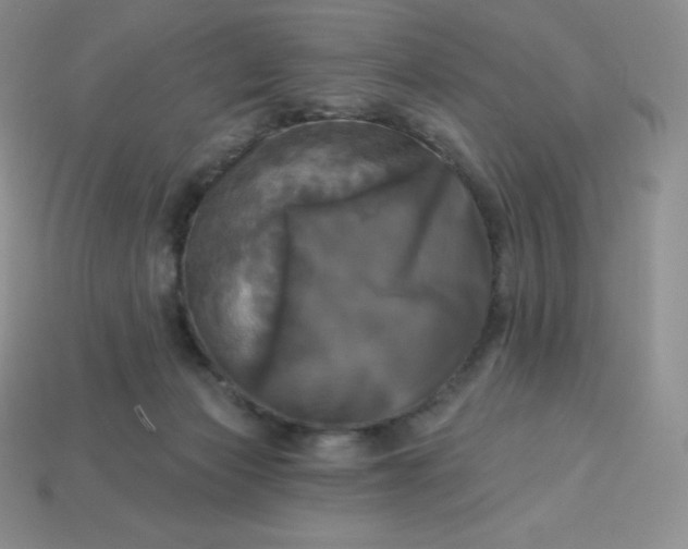 X0000113920173200910090944