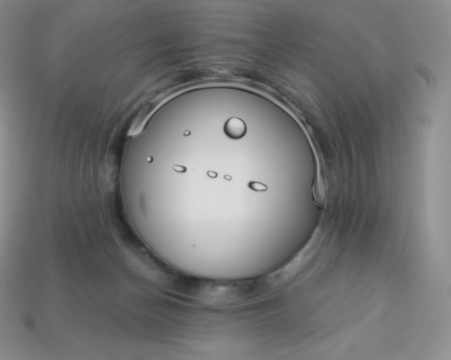 X0000113920174200910090944