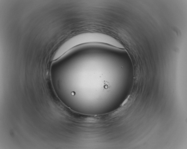 X0000113920176200910090944