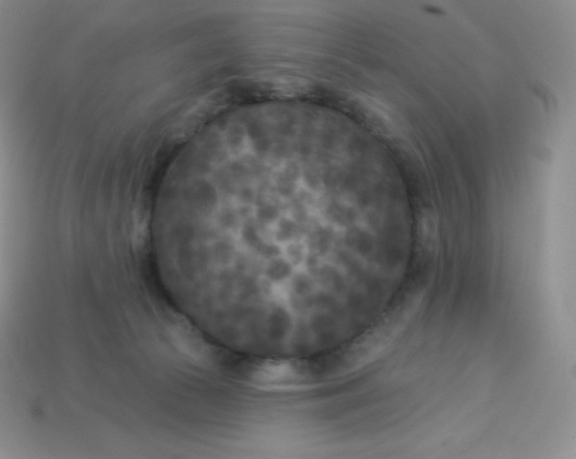 X0000113920177200910090944