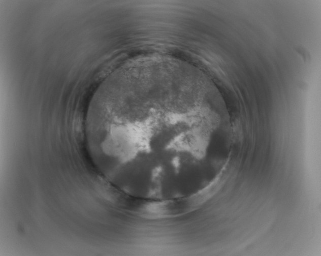 X0000113920178200910090944