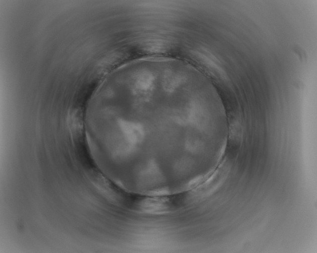 X0000113920179200910090944