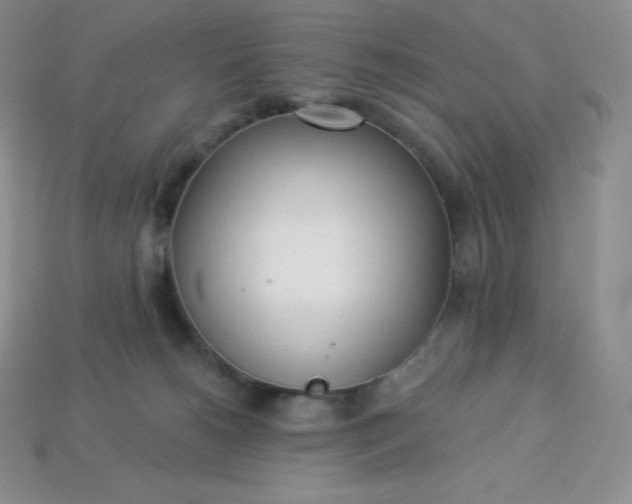 X0000113920180200910090944