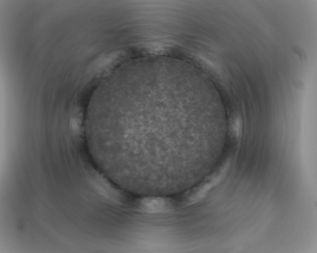 X0000113920181200910090944