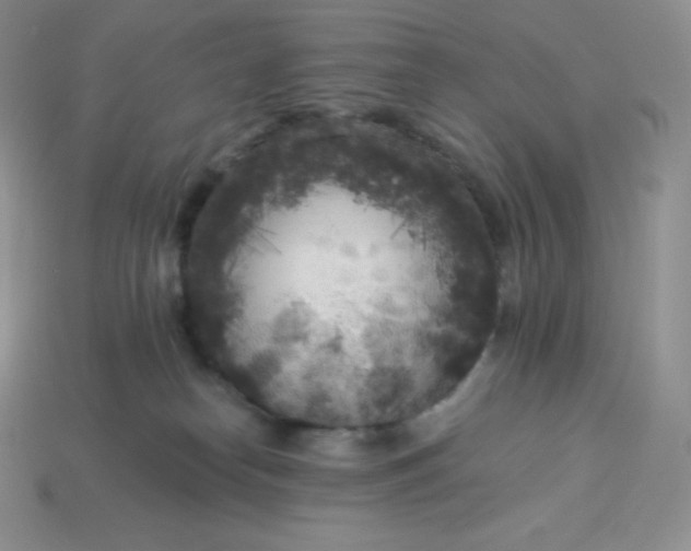 X0000113920182200910090944