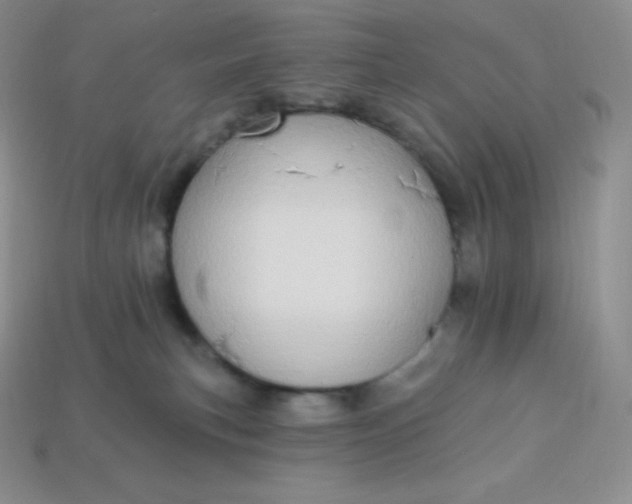 X0000113920183200910090944