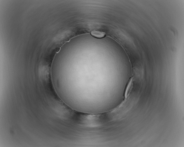 X0000113920184200910090944