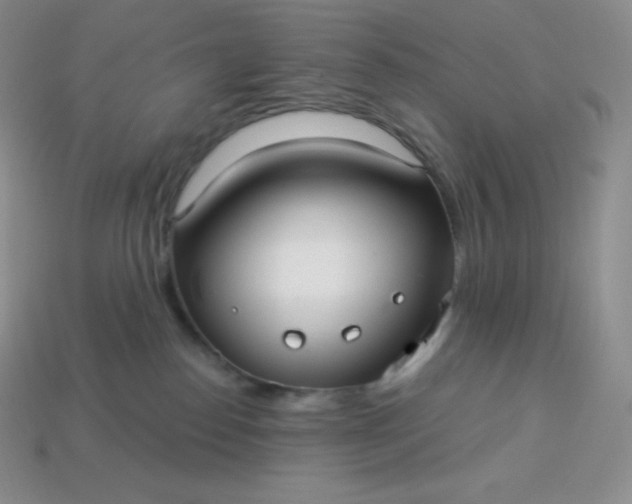 X0000113920186200910090944