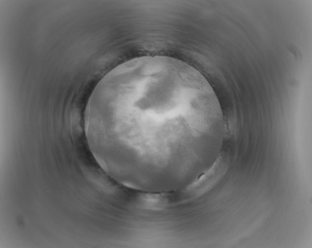 X0000113920187200910090944