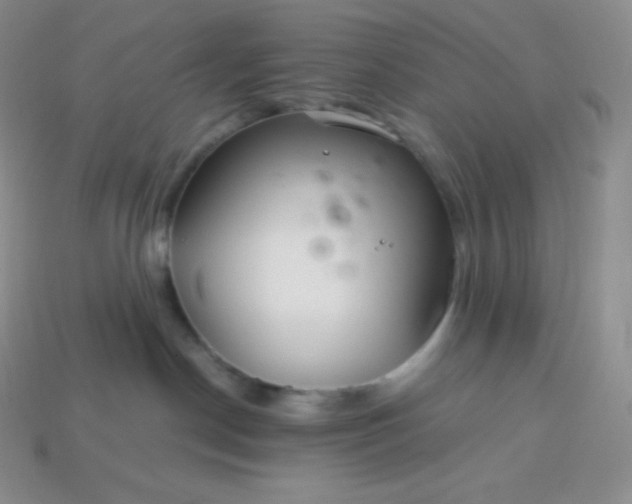 X0000113920190200910090944