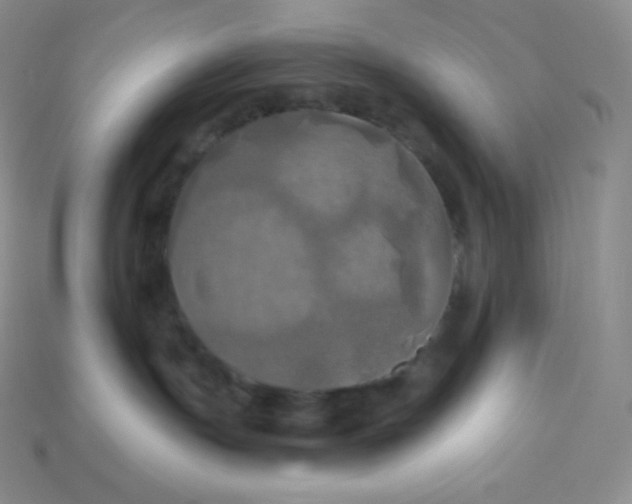 X0000113920191200910090944
