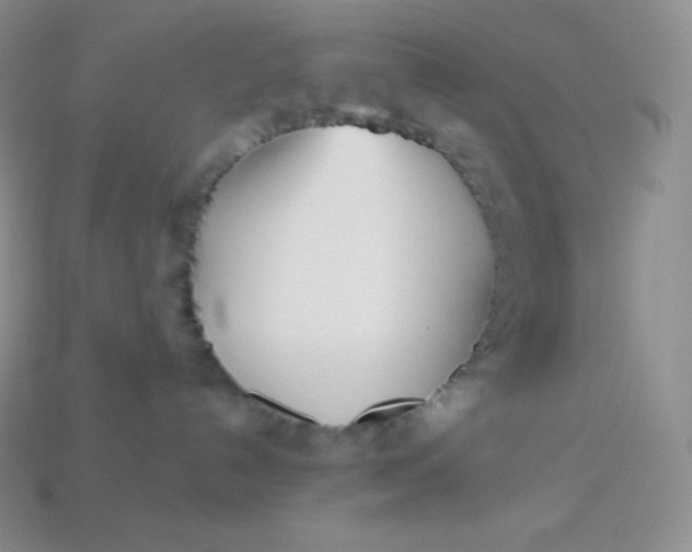 X0000113920192200910090944