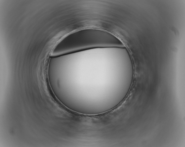 X0000113920193200910090943