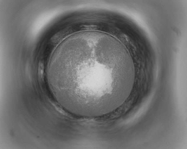 X0000113920194200910090943
