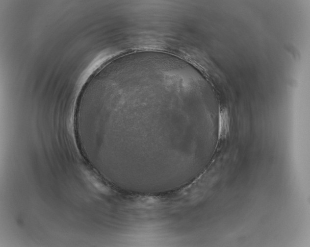 X0000113920195200910090943