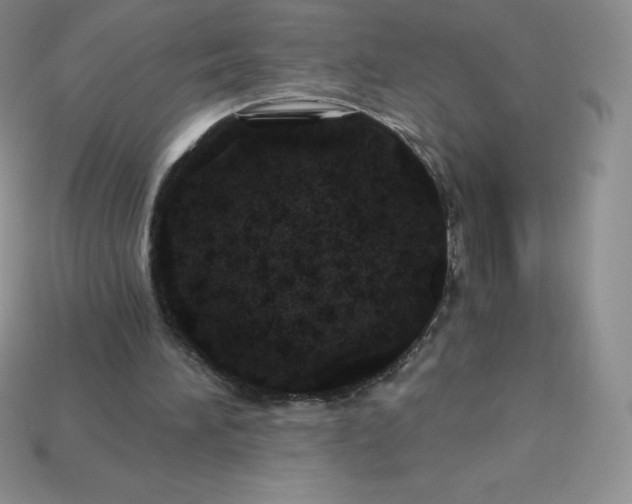 X0000113920196200910090943