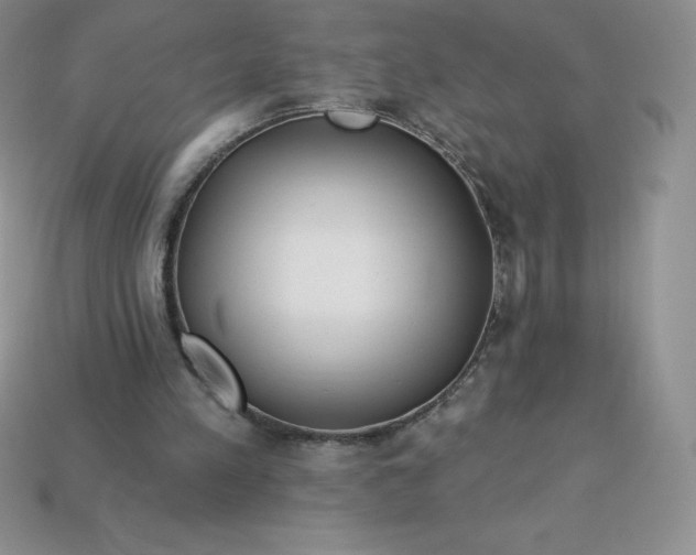 X0000113920197200910090943