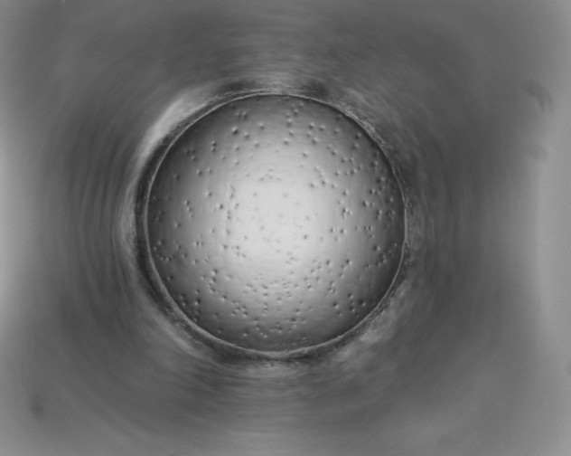 X0000113920198200910090943