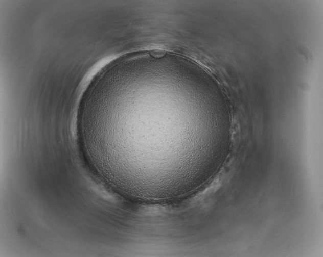 X0000113920200200910090943