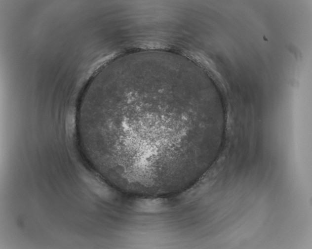 X0000113920202200910090943