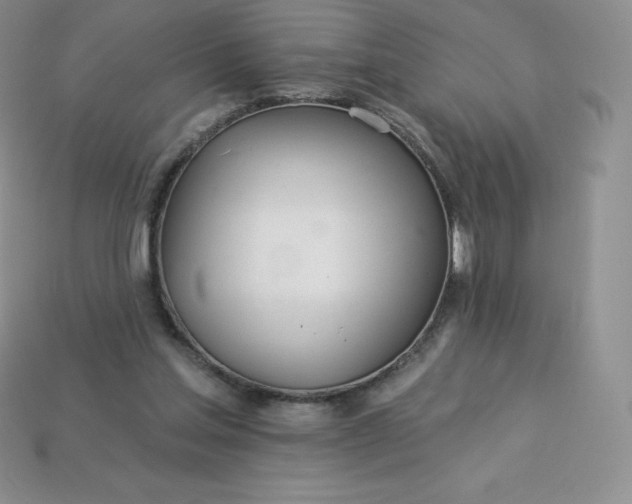 X0000113920205200910090943