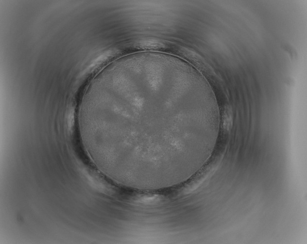 X0000113920206200910090943