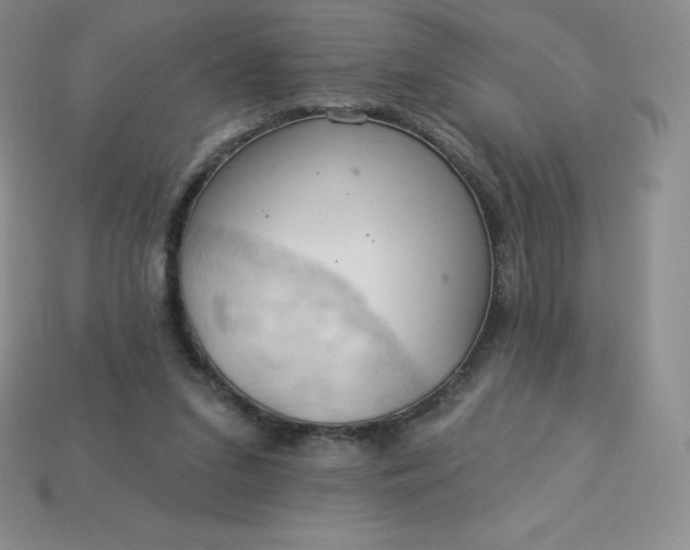 X0000113920207200910090943